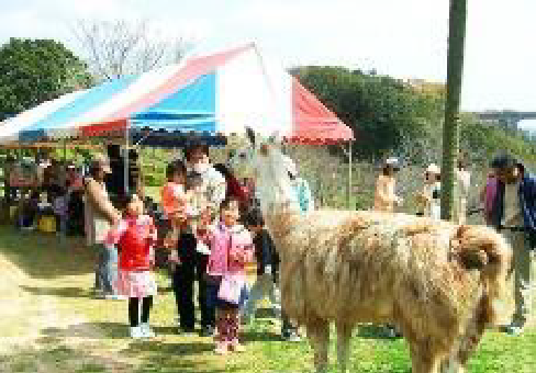 大手ハウスメーカー 直営施設 集客イベント 実績写真1
