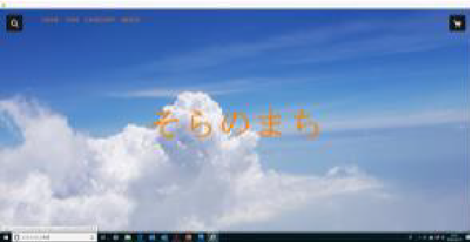 ECショップ・WEB 実績写真1